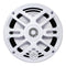 Bocinas Marinas DB Drive APS65W 250 Watts 6.5 Pulgadas 2 Vías Color Blanco